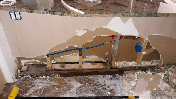 Best Flooded house restoration  in San Luis, AZ