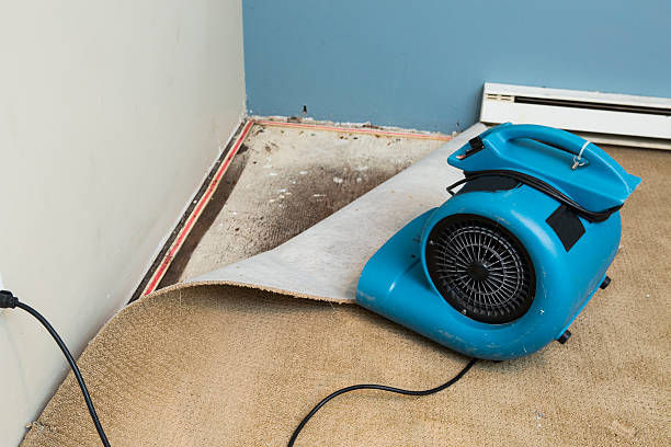 Best Sewage cleanup and water damage restoration  in San Luis, AZ